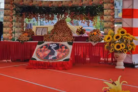 L'exportation précoce du litchi Tan Yen vers le marché japonais 