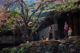 Cinq sites du Vietnam dans les meilleures destinations mondiales pour les routards 