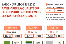 Améliorer la qualité du litchi pour exporter vers les marchés exigeants
