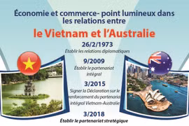Économie et commerce - point lumineux dans les relations entre le Vietnam et l’Australie