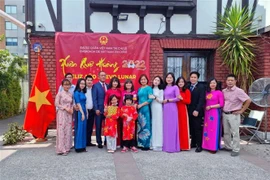 Des Vietnamiens au Chili et en Australie célèbrent le Nouvel An lunaire