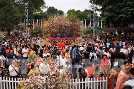 La fête des fleurs de cerisier Japon - Hanoï 2019 se prolonge