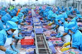 Le Vietnam, quatrième exportateur mondial de produits aquatiques