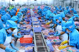 Le Vietnam, quatrième exportateur mondial de produits aquatiques