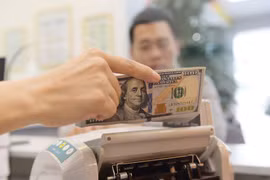 11 mois: environ 4,3 milliards de dollars de devises transférées à HCM-Ville