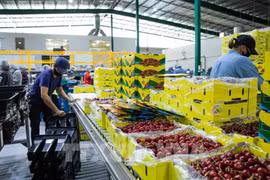 L'Australie est prête à accueillir les travailleurs vietnamiens