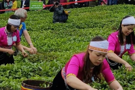 Le Vietnam publie une liste de 13 produits agricoles clés