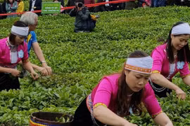 Le Vietnam publie une liste de 13 produits agricoles clés 