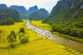 Ninh Binh: destination attrayante des touristes 