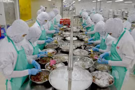 Kien Giang: le chiffre d'affaires à l'exportation atteint 71 millions de dollars en janvier