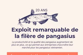 Exploit remarquable de la filière de pangasius