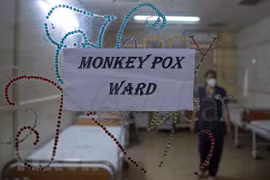 L'Inde aide le Vietnam à former des experts pour prévenir la variole du singe