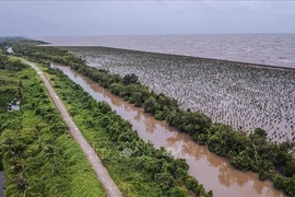 Développer le delta du Mékong en s’adaptant au changement climatique