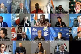 Le Vietnam affirme soutenir des élections libres et équitables en Irak