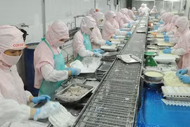 Le Japon, un marché d'export potentiel pour le Vietnam