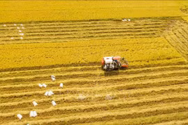 S'orienter vers l'agriculture verte et durable