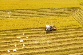 S'orienter vers l'agriculture verte et durable
