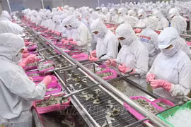 Les exportations de produits aquatiques en hausse de 14 % en cinq mois