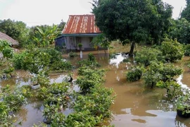 Recherche des solutions pour l'adaptation au changement climatique dans le delta du Mékong