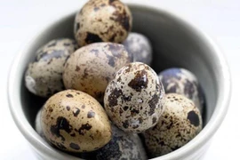 Singapour suspend ses importations d'œufs de caille en provenance de Malaisie