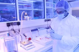 Le Vietnam et l'AIEA coopèrent dans l'application de l'énergie nucléaire à des fins pacifiques