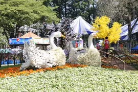 La Fête des fleurs du printemps 2019 s'ouvre à Ho Chi Minh-Ville