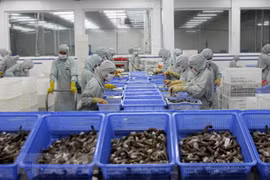 L’UE, premier marché importateur de crevettes vietnamiennes