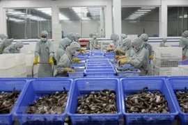 L’UE, premier marché importateur de crevettes vietnamiennes