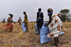 Le chef de la Mission permanente du Vietnam auprès de l'ONU se rend au Soudan du Sud