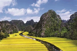 Pour mieux protéger la Réserve naturelle de Vân Long