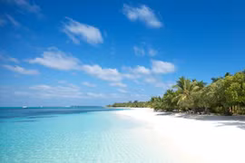 Travelers’ Choice Adwards 2020: De nombreuses localités vietnamiennes honorées