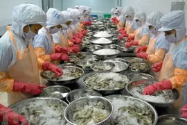 Saisir des opportunités pour stimuler les exportations de produits aquatiques vers l'UE ​