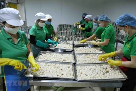 EVFTA: établir les chaînes de valeur pour répondre aux exigences de qualité des produits