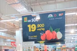 Le thaïlandais Central Retail commercialisera 1.000 tonnes de litchis de Bac Giang