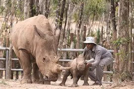 Vinpearl Safari Phu Quôc, le royaume des animaux sauvages