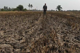 La Thaïlande face à une grave pénurie d'eau