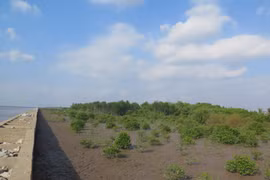 L'UE et la France aident le Vietnam à lutter contre le changement climatique et le COVID-19