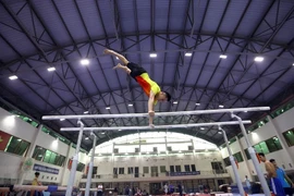 Les sportifs vietnamiens s'entraînent activement pour les SEA Games 31 