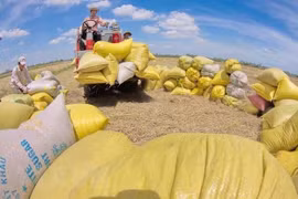 Les exportations de riz rapportent 2,24 milliards de dollars en neuf mois