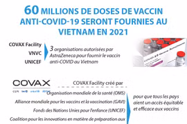 60 millions de doses de vaccin anti-COVID-19 seront fournies au Vietnam en 2021 