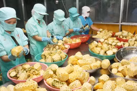 Fruits et légumes : améliorer la qualité pour augmenter la valeur