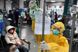 Coronavirus: l'ambassadeur chinois remercie le Vietnam pour son soutien
