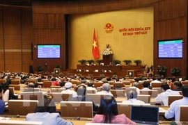 L'AN adopte la résolution sur l'ajustement du plan d'investissement public à moyen terme 