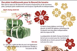Des plats traditionnels pour le Nouvel An lunaire 