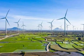 Croissance verte : une solution efficace pour un développement durable 