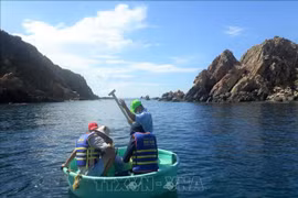 Protéger les récifs coralliens côtiers à Quy Nhon