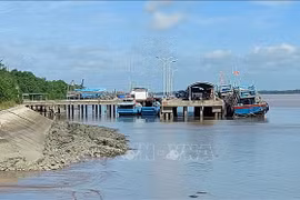Lutte contre la pêche INN: Ben Tre resserre le traitement des bateaux coupables d'infractions