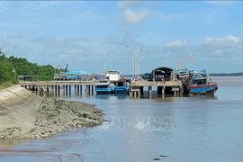 Lutte contre la pêche INN: Ben Tre resserre le traitement des bateaux coupables d'infractions