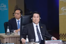 Le président Luong Cuong lors de l'APEC 2024 au Pérou. Photo: VNA