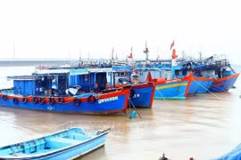 La province de Quang Binh contrôle 100% des navires de pêche arrivant aux ports locaux pour charger et décharger des produits de pêche, conformément aux réglementation. Photo d'archives